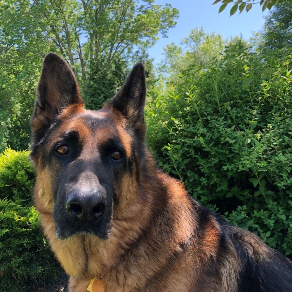 Meet your Posher, Tia